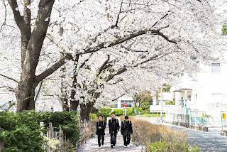   nagano pantip, nagano winter pantip, nagano pantip หิมะ, เที่ยว nagano หน้าหนาว, nagano ซากุระ pantip, nagano pantip เมษา, เที่ยวนากาโน่ด้วยตัวเอง, เที่ยวนากาโน่ 1 วัน, nagano pantip ใบไม้เปลี่ยนสี