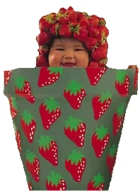 bebé en maceta cubierto de fresas