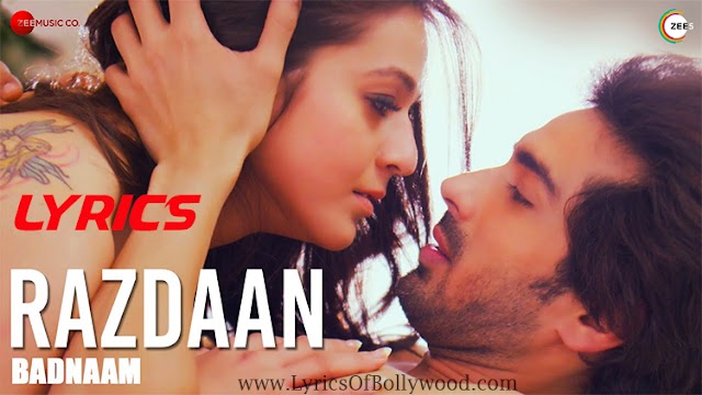 Razdaan Song Lyrics | Badnaam | Priyal Gor, Mohit Sehgal | Soham Naik | Harish Sagane