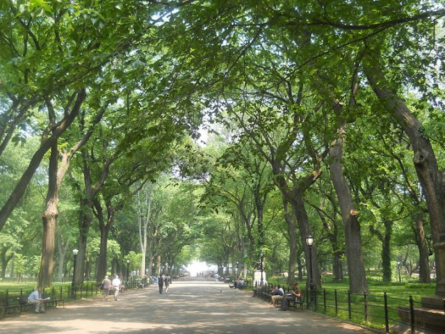 <img src="New York.jpg" alt="Central Park" />  