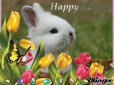 feliz pascua (25)
