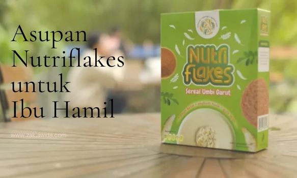 Asupan Nutriflakes Untuk Ibu Hamil yang Dijamin Aman