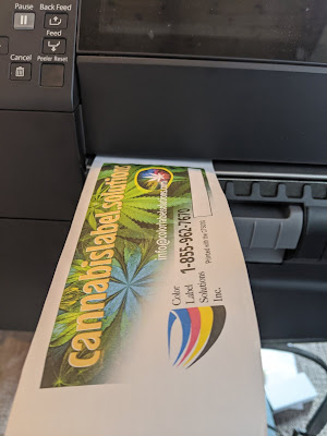 C6000 Printed DT Receipt Paper