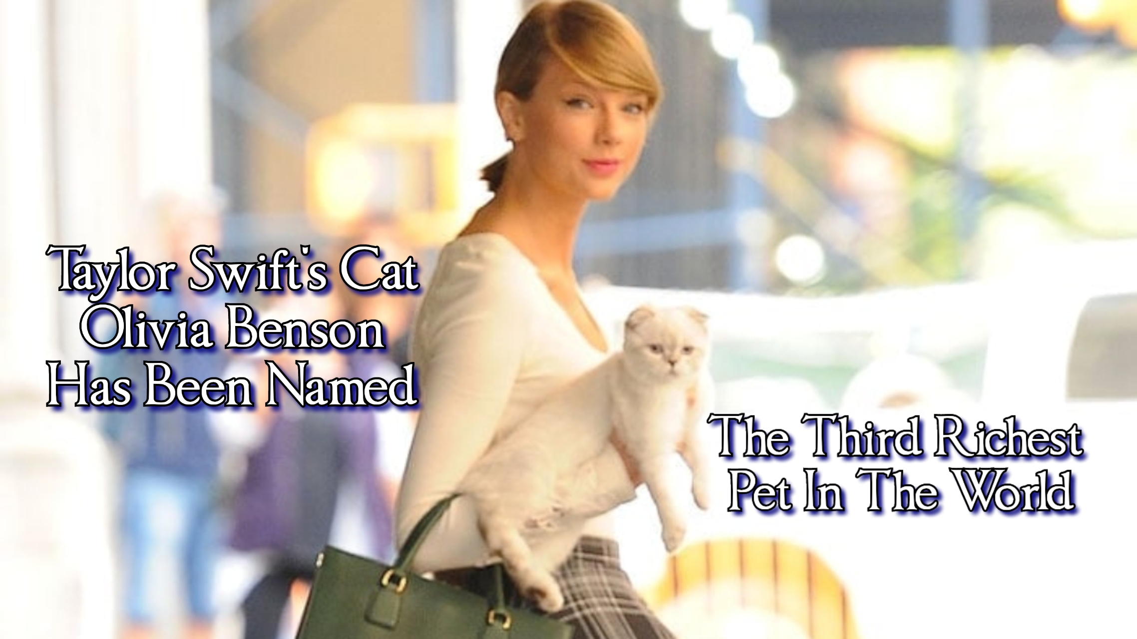 Taylor Swift's Cat Olivia Benson Is The World's Third Richest Pet With $ 97  Million Net Worth - WORLD INFO