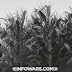  HUGE: TWO COUNTIES BAN GMOS: OREGON FIGHTS BIOTECH AND STILL WINS