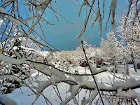 winter зима snow снег frost мороз garden сад tree дерево plant цветок flower растение grow выращивание vegetable огород многолетние fruit seeds grass семена berry growing landscaping трава planting gardening perennial посадка cultivation shrub фрукт ягода куст озеленение многолетник овощеводство cадоводство