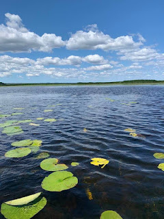 Cooks Bay, Ontario