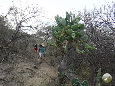 Bosque espinozo y caducifolio en la parte baja de Cerro Viejo