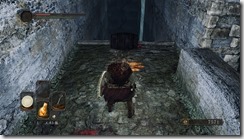 DarkSoulsII 2016-12-31 17-29-36-42