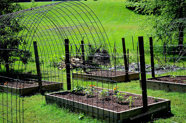 #RaisedBed #RaisedBedGarden #Garden #Gardening #HobbyFarm #Farm #DreamGarden #CattlePanels