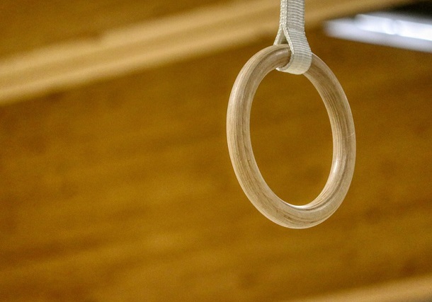Best Gymnastic Ring in India