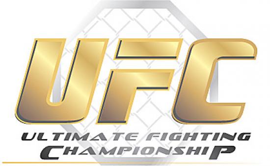 Resultado de imagem para UFC - LUTAS DO MMA - LOGOS