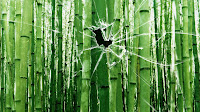 vista background broken glass bamboo