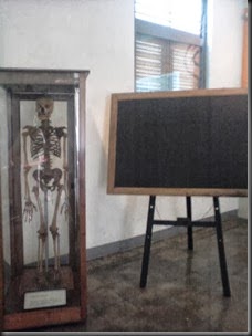 Photo-0946