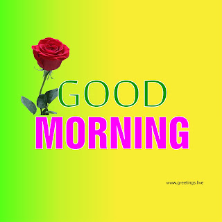 good morning DIY rose flower greetings image free download