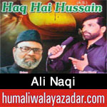 http://www.humaliwalayazadar.com/2017/09/ali-naqi-nohay-2018.html