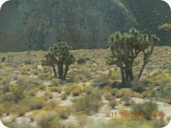 DSCN2833