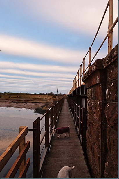 _V0G5331_edited-1