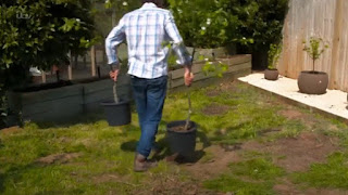 David Domoney planting fruit trees