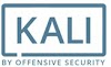 Fixing Slow System Startup in Kali Linux