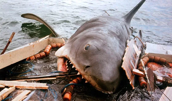 jaws shark attacks boat scene