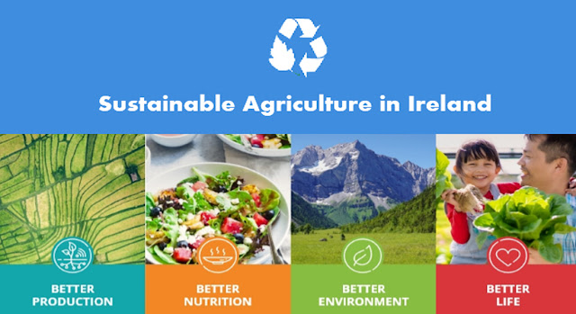 Sustainable Agriculture in Ireland