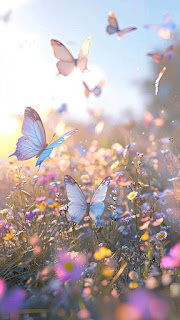 Realistic butterfly photoshoot