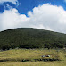 Exploring the Tropical Rainforests of Mount Gede Pangrango