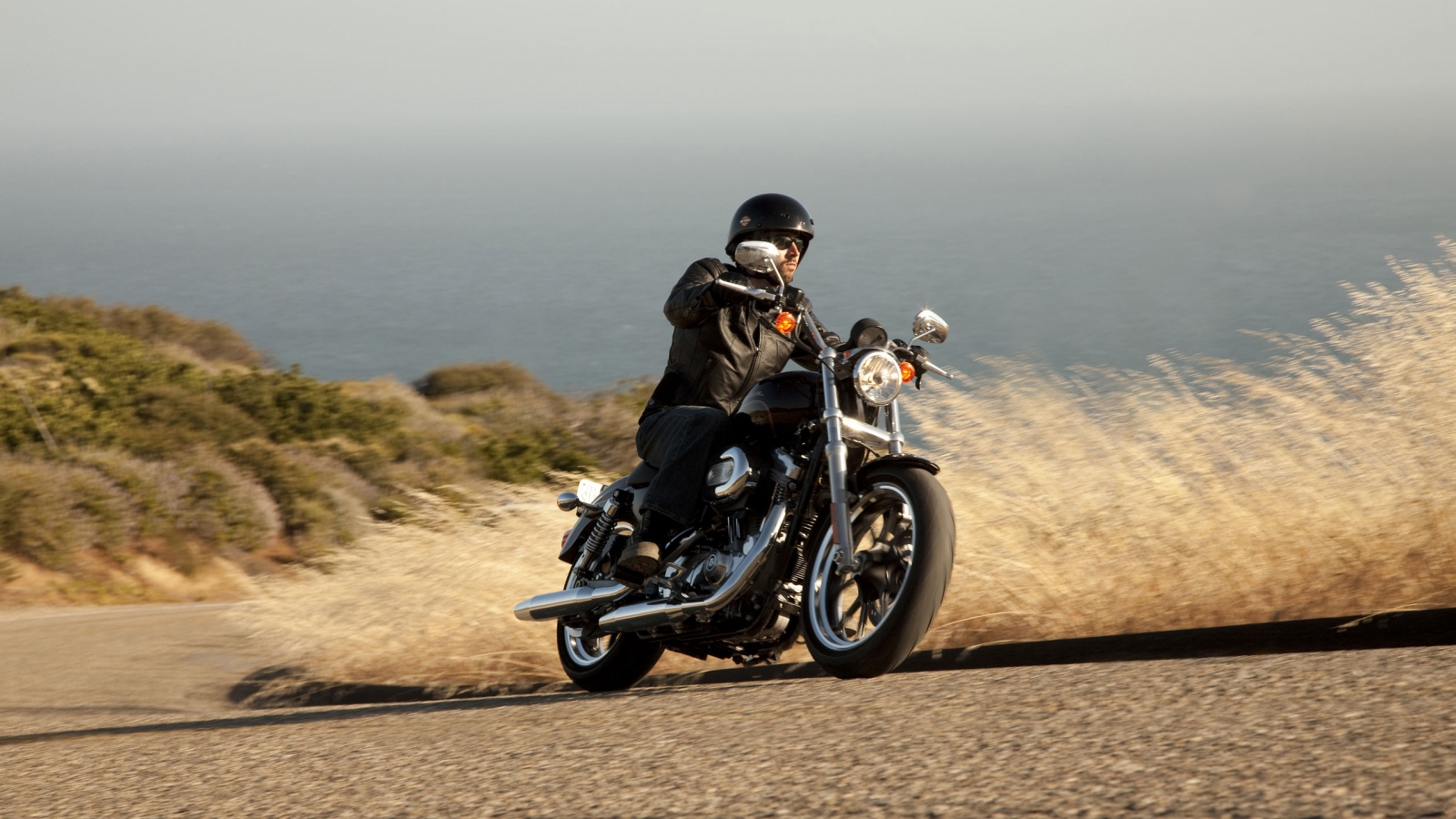 Harley-Davidson - Iron 883 Special Edition | Stuffologist