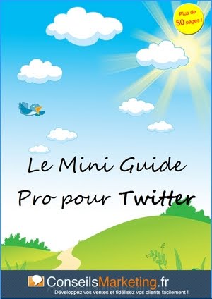 Téléchargez l'eBook gratuit "Le Mini Guide Pro pour Twitter"