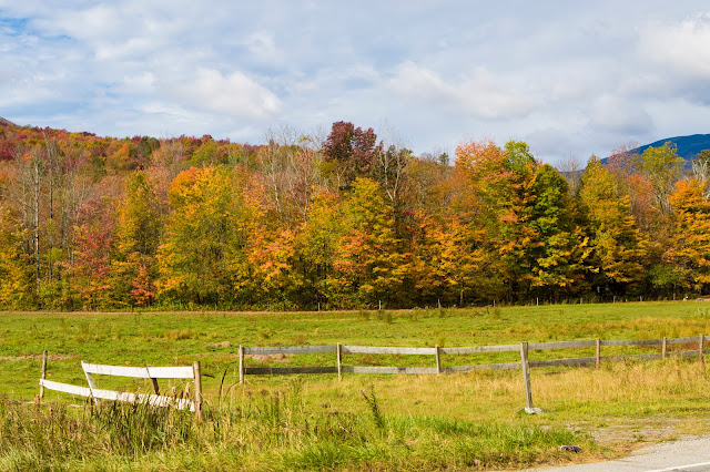 Stowe e foliage