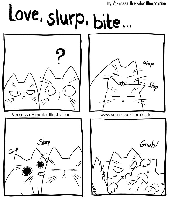 30 Hilarious Comics All Cat Lovers Will Adore