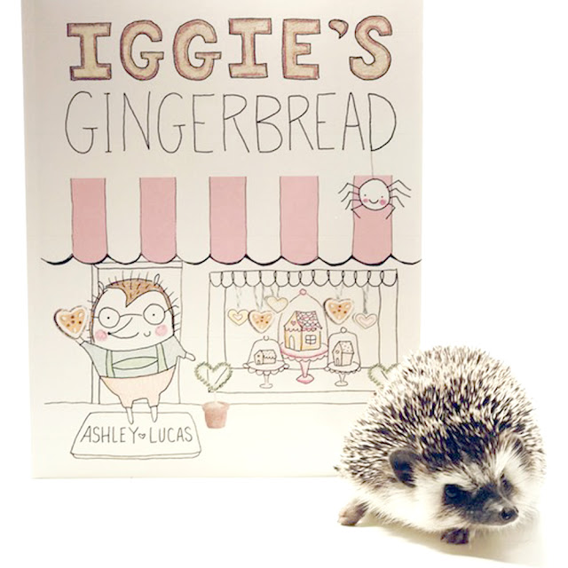 Iggie's Gingerbread is Hedgehog Approved | Mr. Bates the Hedgie enjoys a good read ;) | Photo Credit - @MrBatestheHedgie