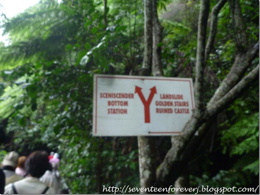 PhotoCap_028