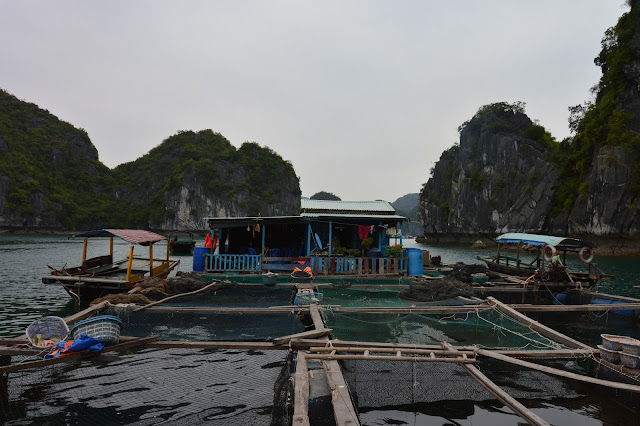 Maison de pêcheur dans la baie d'Halong maritime