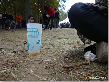 Rock en Seine 2010