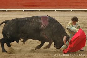 toro belicoso escapulario de plata de la feria del señor de los milagros de acho 2018 lima premios ganador triunfador