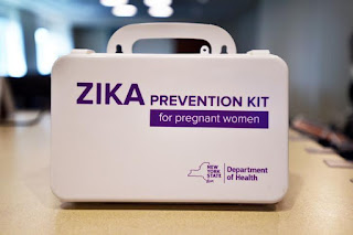 Health official warns Zika could spread across U.S. Gulf,.Zika virus , and the United States , health,usa mens basketball