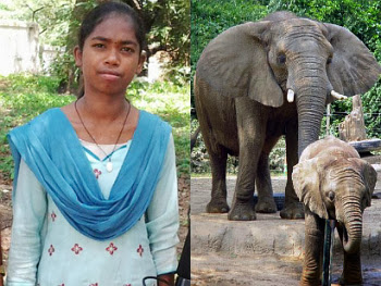 Seorang gadis yang tinggal di Jharkhand boleh bercakap dengan gajah