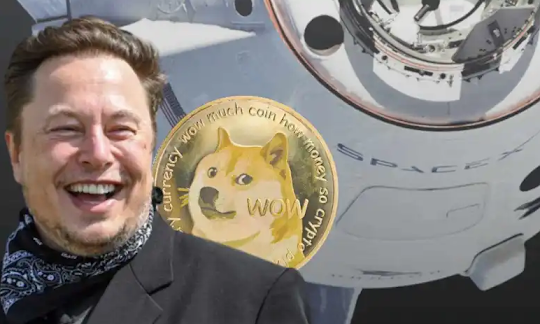 spacex jobs,elon musk cryptocurrency dogecoin, SpaceX  accepting DOGE payments