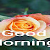 Good Morning