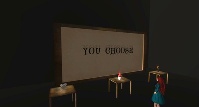 You Choose Exhibit 006