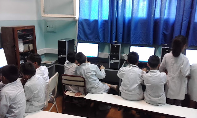 la imagen muestra a varios alumnos trabajando en las compus de la sala de informática