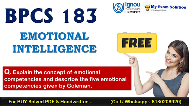 Explain the concept of emotional competencies and describe the five emotional competencies given by Goleman