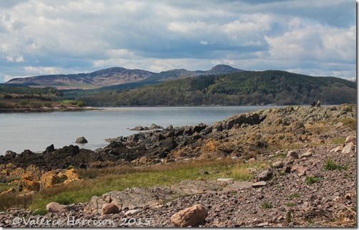 3-Rockcliffe
