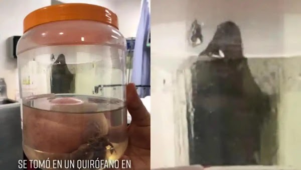 Silueta de la Muerte es vista en un hospital; video causa pánico y se hace viral