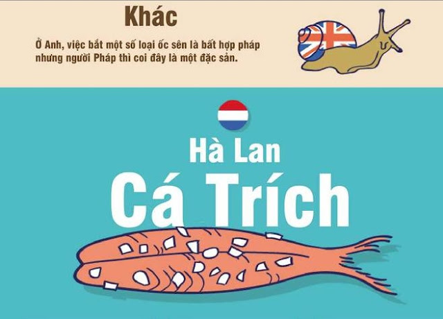 Ăn uống khi đi du lịch