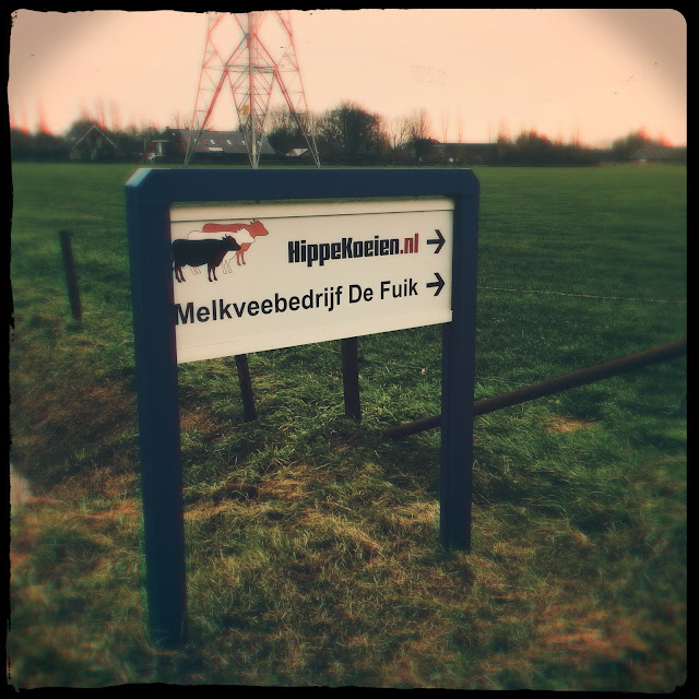 Bord hippekoeien.nl. Hipstamatic: Florence + Cinematheque. Foto: Robert van der Kroft, januari 2018