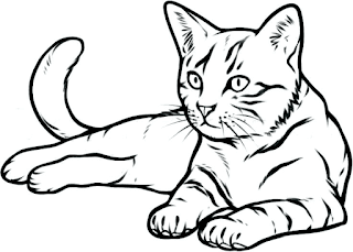Desenhos de gatos para colorir