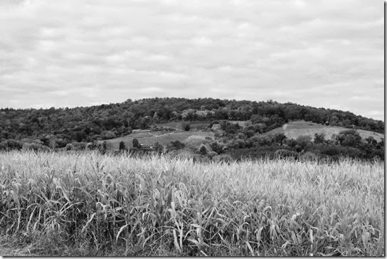 gray day